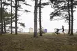 Thule Glide 3 juoksuratas - Juoksurattaat - 10101970 - 8