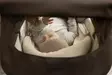 - - - 8