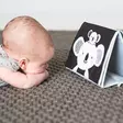 Taf Toys Tummy Time ensikirja - Ensikirjat - 605566123950 - 2