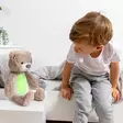 ZAZU Brody nalle Sleeptrainer musiikilla - Yövalot ja lämpömittarit - 703625107740 - 7