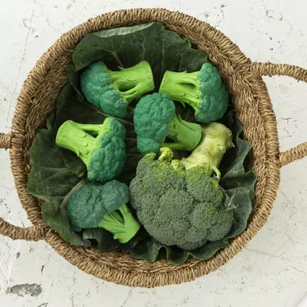 Oli&Carol purulelu luonnonkumia - Purulelut - 8437015928791 - 2