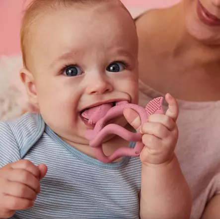 B.Box Wrist purulelu - Purulelut - 9353965002611 - 2