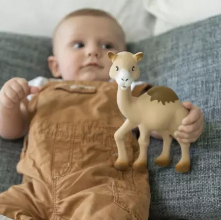 Sophie the Giraffe lelu - Hopeoidut, kipsi- ja luonnonkumituotteet - 3056567770013 - 2