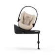  -  -  - 22