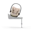  -  -  - 4