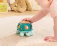 Hape soiva aktiviteettelu kilpikonna - Puulelut - 6943478054905 - 2