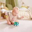 Hape soiva aktiviteettelu kilpikonna - Puulelut - 6943478054905 - 3