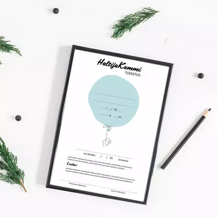 KirpunKoti haltijakummitodistus - Kortit - 06429810998196 - 1