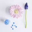 Namaki vesipohjainen kynsilakka - Askartelu - 3700847802276 - 2