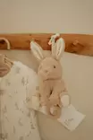 Little Dutch pupu soittorasia - Soittorasiat - 8713291884267 - 3