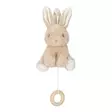 Little Dutch pupu soittorasia - Soittorasiat - 8713291884267 - 2