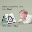 Taf Toys Tummy Time ensikirja - Ensikirjat - 605566127057 - 2