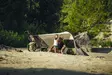 Thule UV-teltta Tarp UPF50+ - UV-teltat - 197074666918 - 8