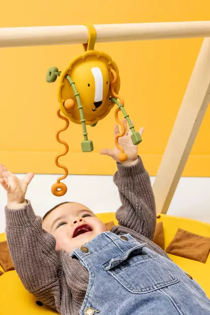 Trixie Sensory Pull toy 18kk+ - Helistimet - 5401121031679 - 2