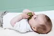 Trixie silikoninen purulelu - Purulelut - 5401121036629 - 2