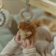 Little Dutch puinen leikkikaari - Lelukaaret ja jumppatyynyt - 8713291883109 - 3